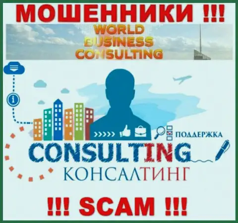 World Business Consulting занимаются грабежом доверчивых клиентов, а Consulting только лишь ширма