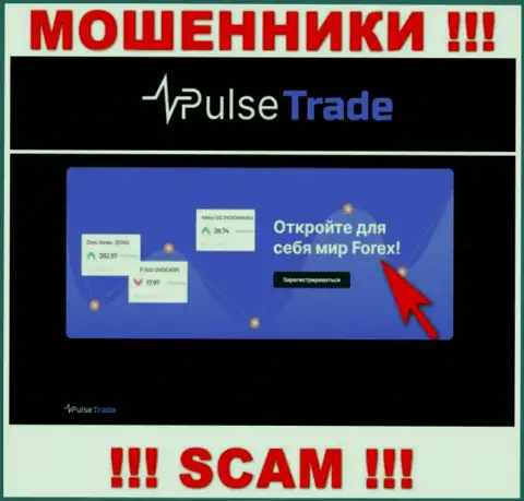 Pulse Trade, прокручивая делишки в области - Форекс, кидают доверчивых клиентов