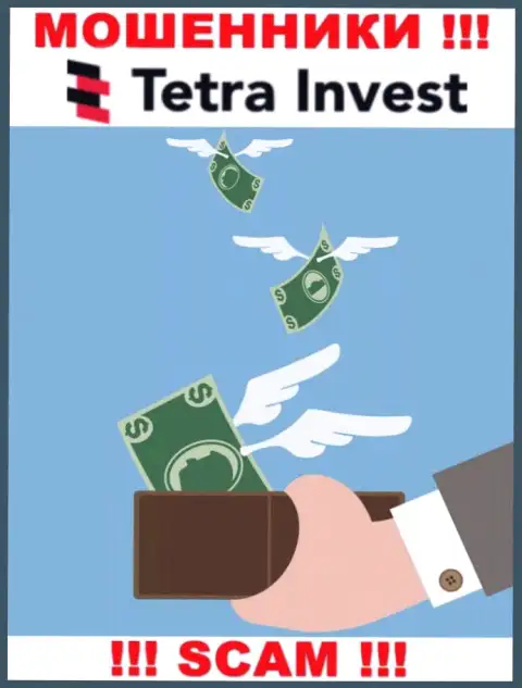 Если ожидаете прибыль от совместной работы с ДЦ Tetra-Invest Co, то тогда зря, указанные интернет-разводилы ограбят и Вас
