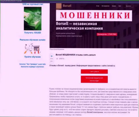 Обзор scam-компании Borsell Ru - МАХИНАТОРЫ !!!