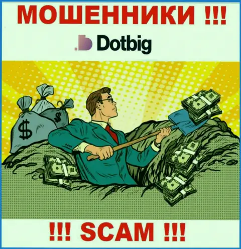 DotBig действует только на сбор денег, исходя из этого не поведитесь на дополнительные финансовые вложения