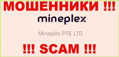 Руководством Mineplex PTE LTD является компания - МинеПлекс ПТЕ ЛТД