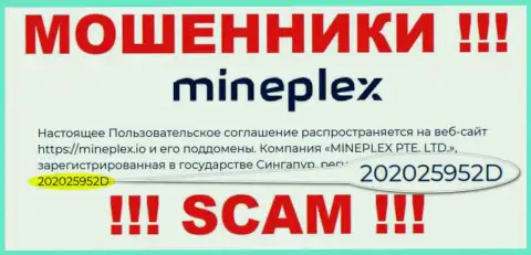 Номер регистрации очередной мошеннической компании МайнПлекс - 202025952D