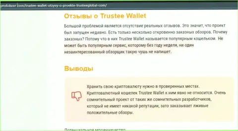 Trustee Wallet - это МОШЕННИКИ !!! Отжимают денежные активы клиентов (обзор)