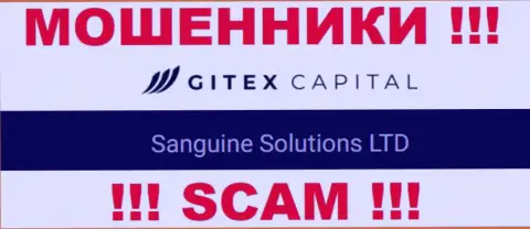 Юр лицо Сангин Солютионс ЛТД - это Sanguine Solutions LTD, именно такую инфу показали махинаторы у себя на онлайн-ресурсе