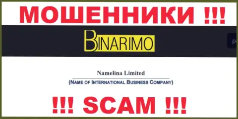 Юридическим лицом Namelina Limited является - Namelina Limited