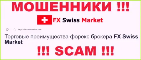 Область деятельности FX SwissMarket: ФОРЕКС - отличный доход для internet-мошенников
