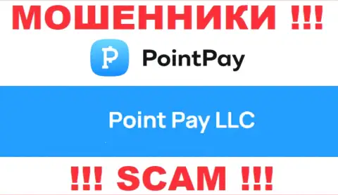 Компания ПоинтПай Ио находится под крышей организации Point Pay LLC