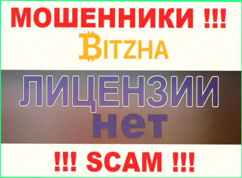 Мошенникам Bitzha24 Com не дали лицензию на осуществление их деятельности - воруют денежные вложения