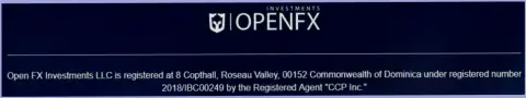 Регистрация ФОРЕКС компании Open FX Investments LLC